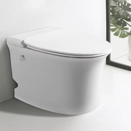 Унитаз Ceruttispa NAUTILUS Pulse приставной с функцией импульсного смыва безободковый CT10200 625х380х400_