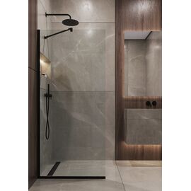 Душевая перегородка Timo TP-890/03C-8 1950х890 стекло прозрачное 8 мм_