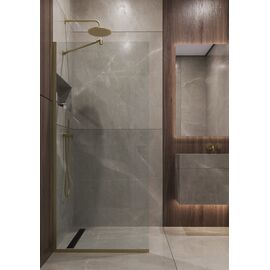 Душевая перегородка Timo TP-890/17C-8 1950х890 стекло прозрачное 8 мм_