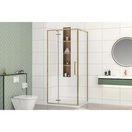 Душевой угол Royal Bath BERN -V RB100x90х195-T-GD_