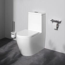 Унитаз-моноблок Am.Pm Func C8F8900SC безободковый с сиденьем_