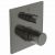 Смеситель для душа Ideal Standard Ceratherm C100 A6956A5_