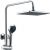 Душевая стойка Kaiser Trio 57288_, изображение 2