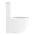 Унитаз-компакт безободковый BelBagno SFERA-R BB2141CPR/BB870SC_, изображение 3