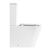 Унитаз-компакт безободковый BelBagno FLAY-R BB2149CPR/BB870SC_, изображение 3