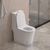 Унитаз-моноблок BelBagno TRE-TOR со смывом Торнадо с сиденьем дюропласт soft close P-trap BB673CP-MN-TOR/SC_, изображение 10