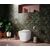 Подвесной унитаз Ceramicanova Cubic Rimless CN1806_, изображение 7