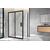 Душевой уголок Royal Bath ACCORD RB 11170HPS-C-BL 170x110x200_, изображение 2