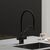 Смеситель для кухни Sancos Loro матовый черный SC4007MB_, изображение 2