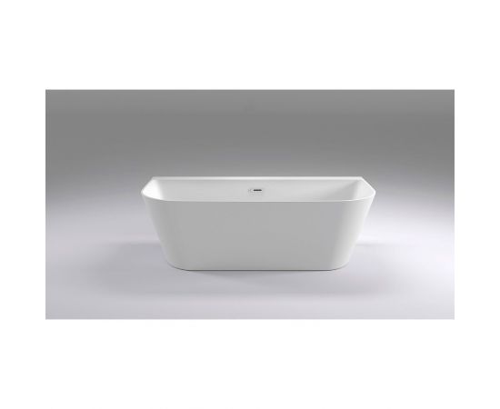 Акриловая ванна Black&White Swan SB115_, изображение 2