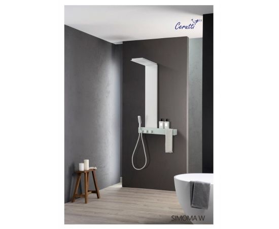 Панель душевая Cerutti SPA SIMONA W CT9661_, изображение 2