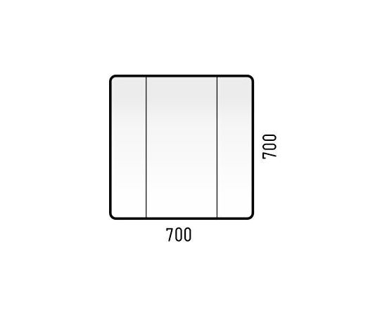 Зеркало-шкаф Corozo Монро 70_, изображение 4