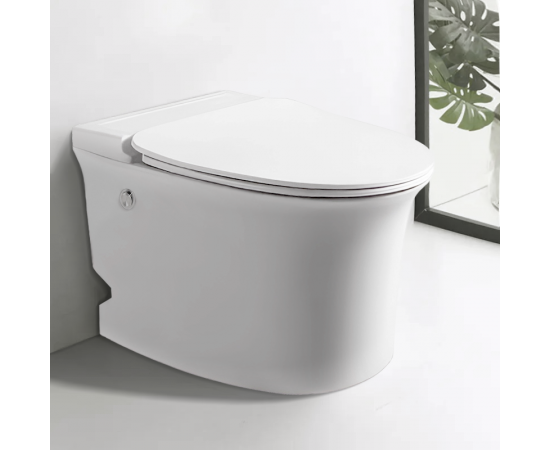 Унитаз Ceruttispa NAUTILUS Pulse приставной с функцией импульсного смыва безободковый CT10200 625х380х400_